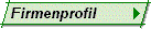   Firmenprofil  